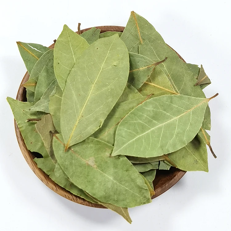 Factory Wholesales Single Spices Bay Laurel Leaves Naturally dry Bay leaf With High Quality