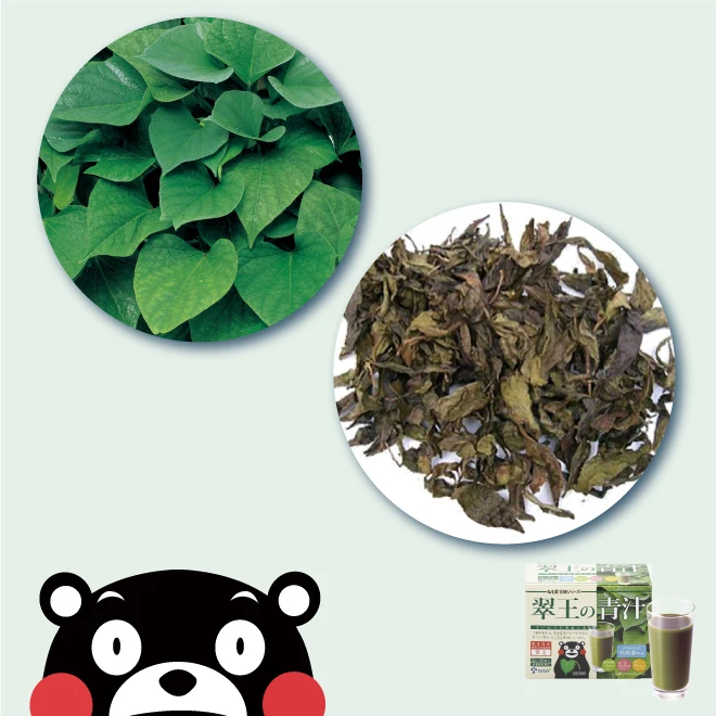 
Japan abundant nutrients rich in dietary fiber powder vegetable and fruit supplements 