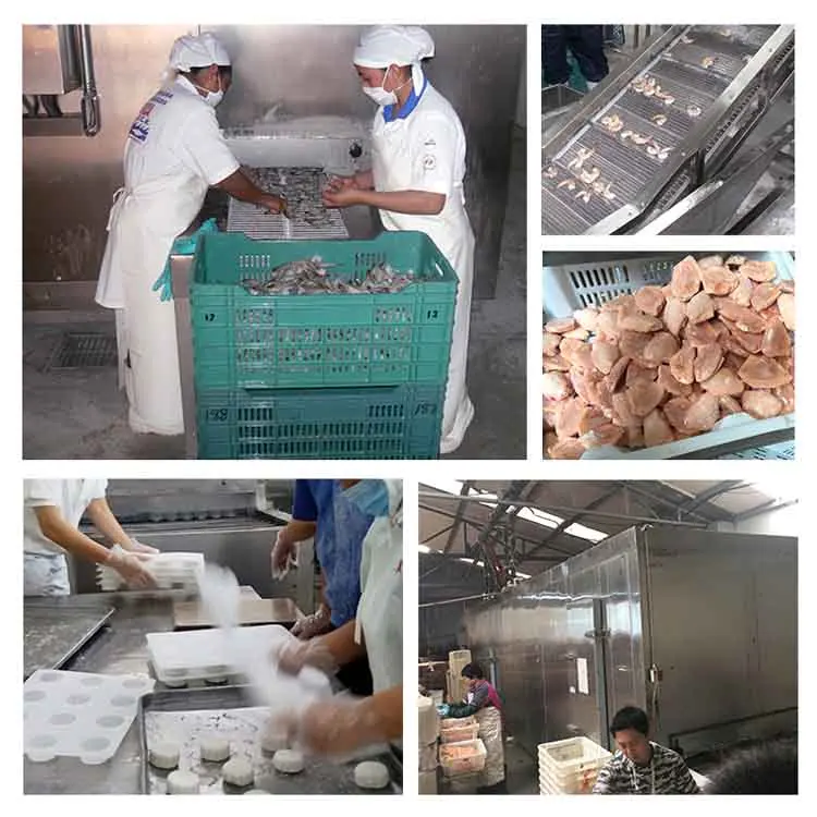 Профессиональные туннели XINDAXIN куриные лапки креветки IQF быстрая заморозка овощей машина для замораживания