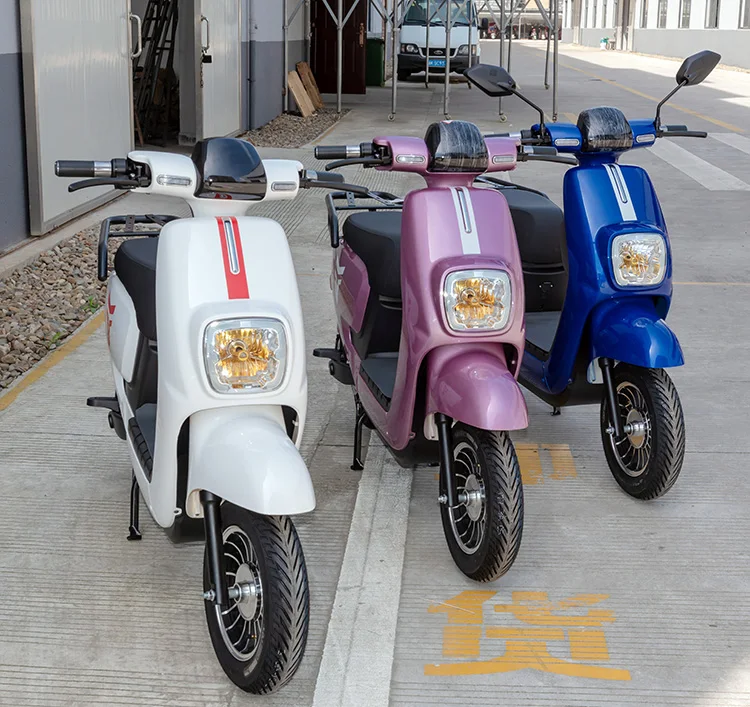 Indian Market Disc Brake 2 Wheel Citycoco Personal Transporter Cheap Price 1000w Electric Scooter