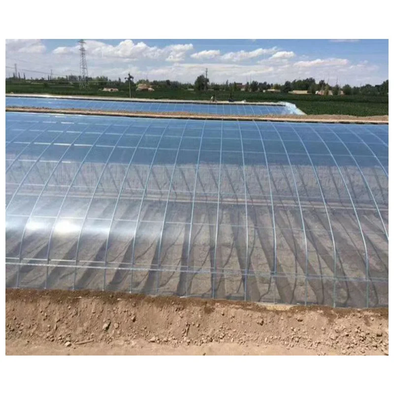 Factory sale greenhouse film PO 150mic 200mic clear greenhouse poly film for agriculture
