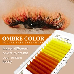 CC DD J B Curl Classic Korean colorful indiavidual eyelash extension professional supplies pink eyelash extension vendor