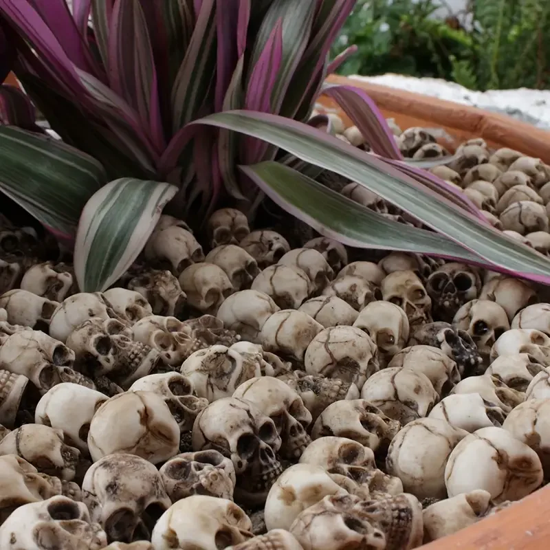 Halloween skull decoration rapid prototyping resin print model Custom 3D printed skeleton Sell SLA 3d Prototype printing service