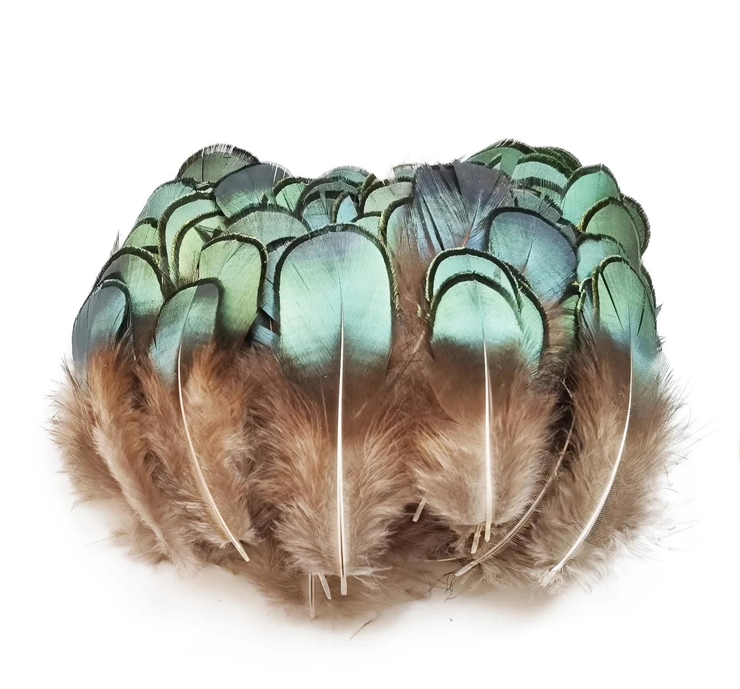 Happy Feather 100 pcs Green Pheasent Plumage Feather For Sewing Crafts Clothing Decorating Accessories