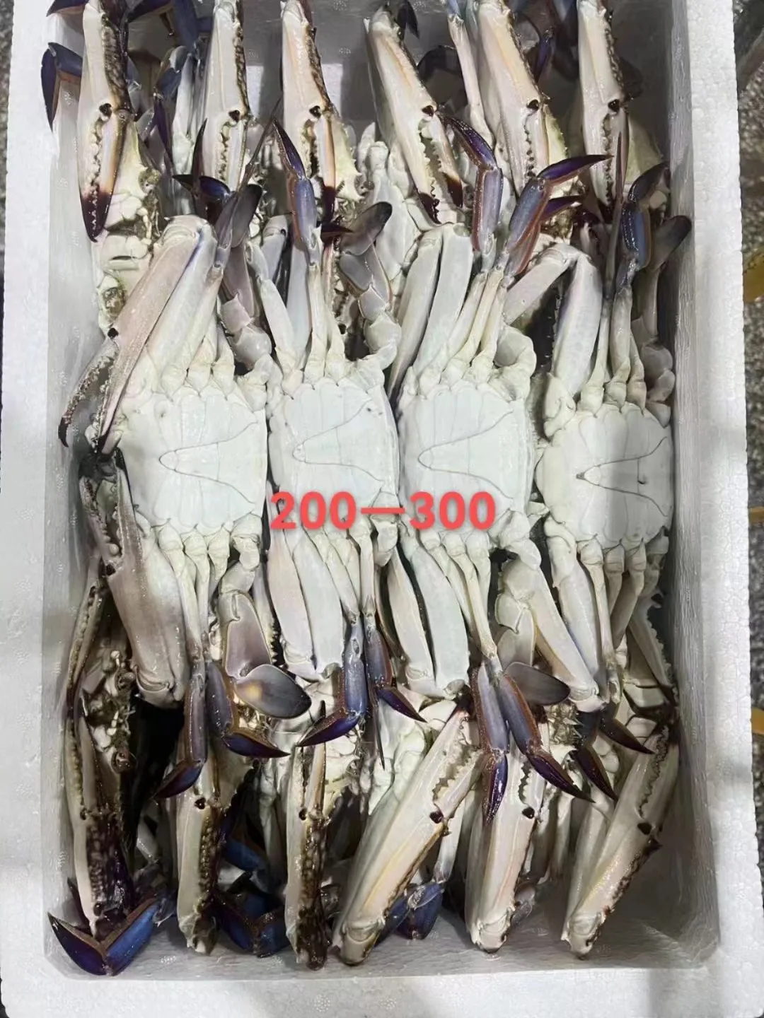 Frozen  Blue Swimming Crab Great Price In Stock