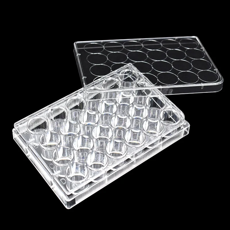 Factory Directly Supply laboratory cell culture microplates,24 Well Cell Culture Plate,Flat, TC, sterile,individually packed