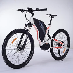 Electric shock absorption adult outdoor cycling bicycle  fat tire lithium battery assisted electric dirt bike mid drive motor