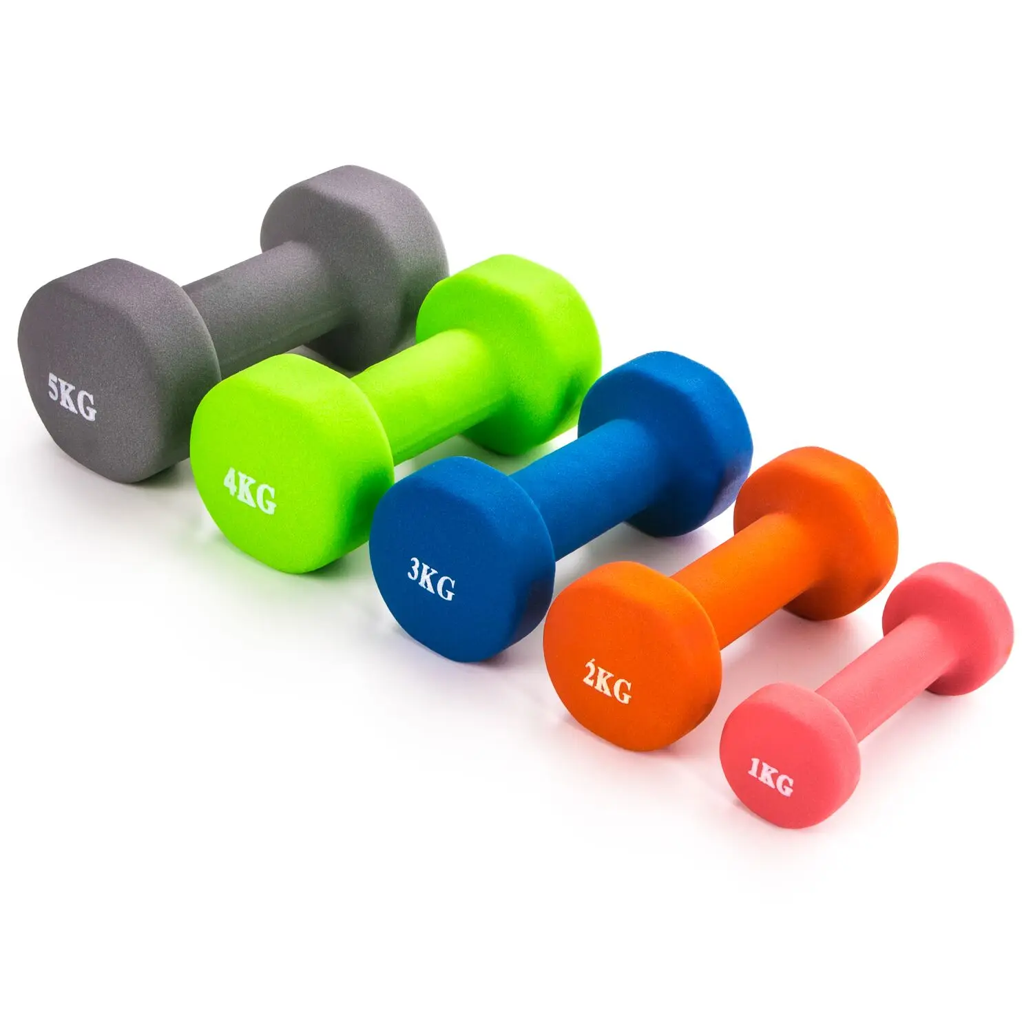 Reapbarbell Wholesale 20lb cast iron dumbbell set with plastic case
