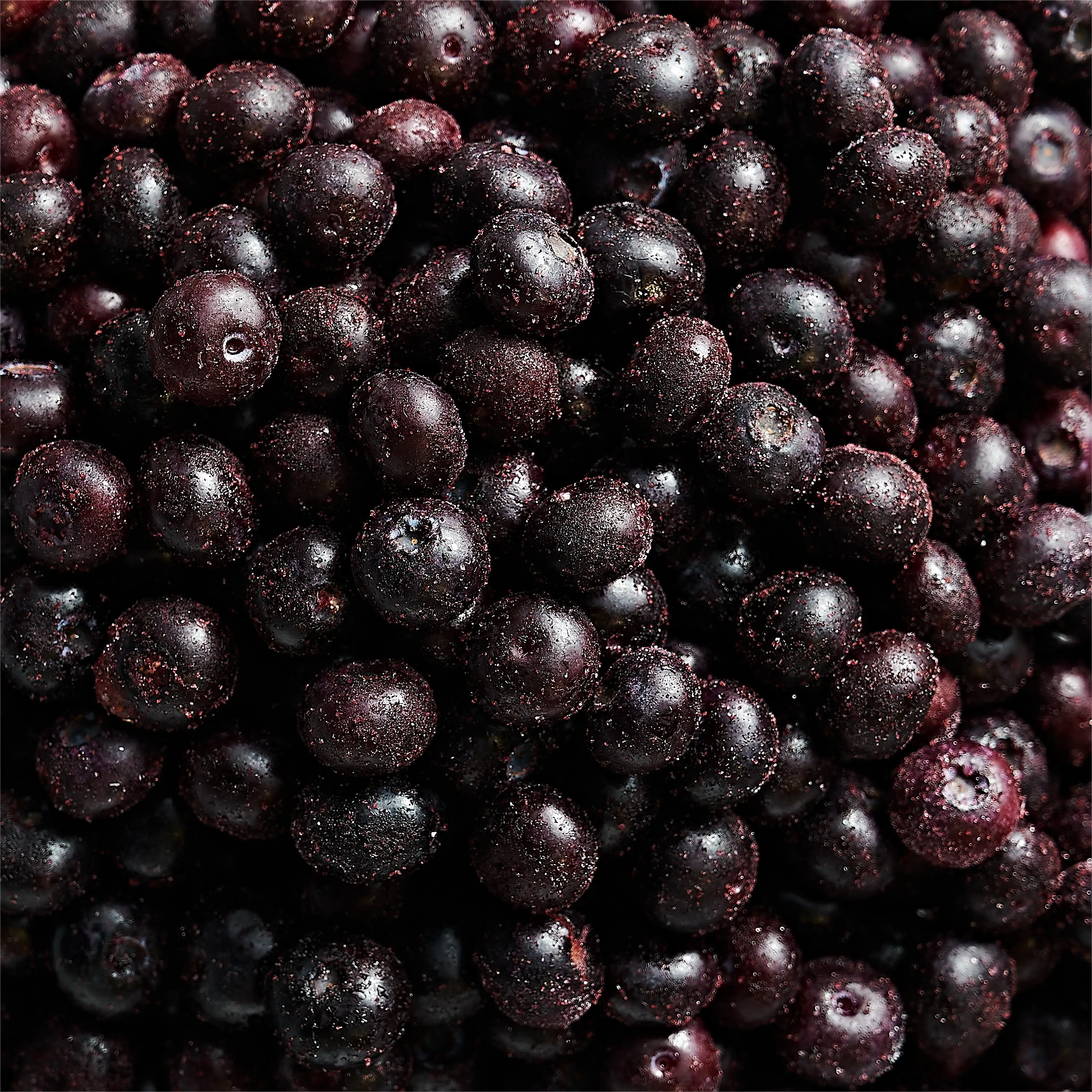 IQF factory direct export frozen blueberry wholesale frozen blueberry Wholesale Price 1kg Frozen Blueberry with BRC A