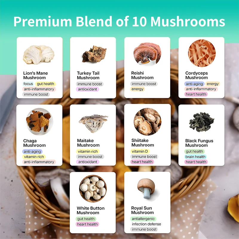 Private Label Mushroom Gummies 10 Mushrooms Blend Immune Boost Promote Focus Mushroom Gummies