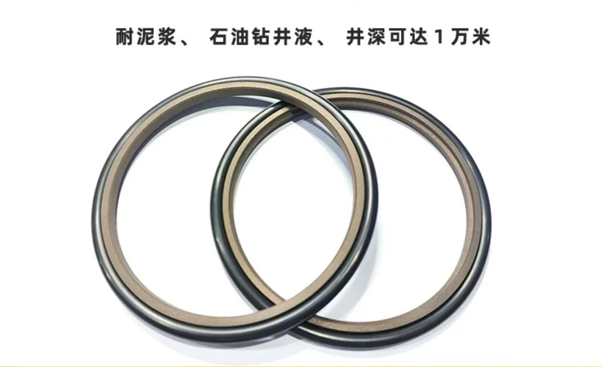 Manufacturer Supply Std Ptfe Gsj Glyd Ring Ster Seal Spring Piston Rod Sealing