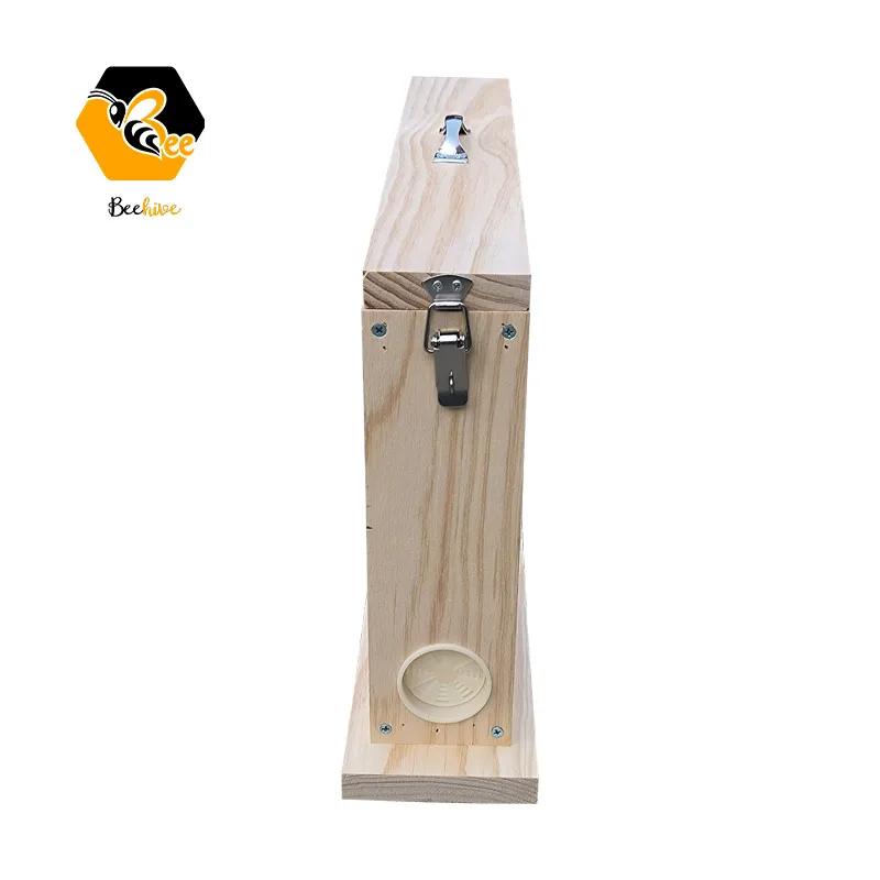 Observation Beehive with Carry Handle Ventilation Holes for Teaching in New Zealand Pine