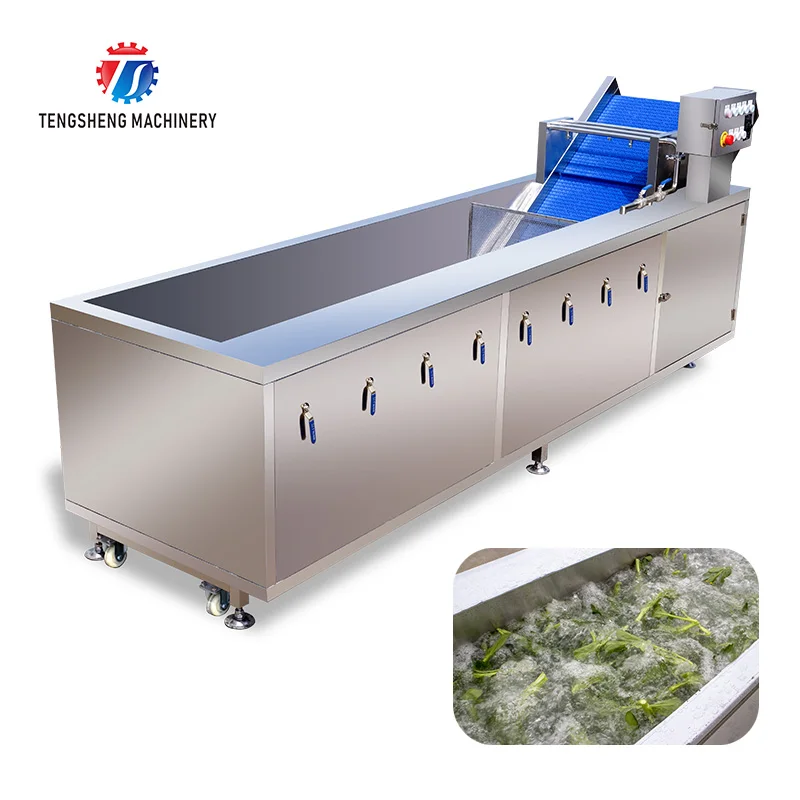 Large-scale leaf vegetables cleaning machine multifunctional fruit vegetable cleaner automatic citrus fruit washing machine