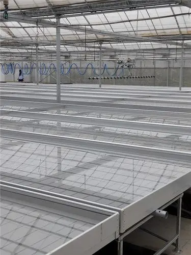 Commercial Greenhouse Seedbed 4X8 Ft Nursery Bed Ebb And Flow Tray Hydroponics Movable Rolling Bench System Flood Table