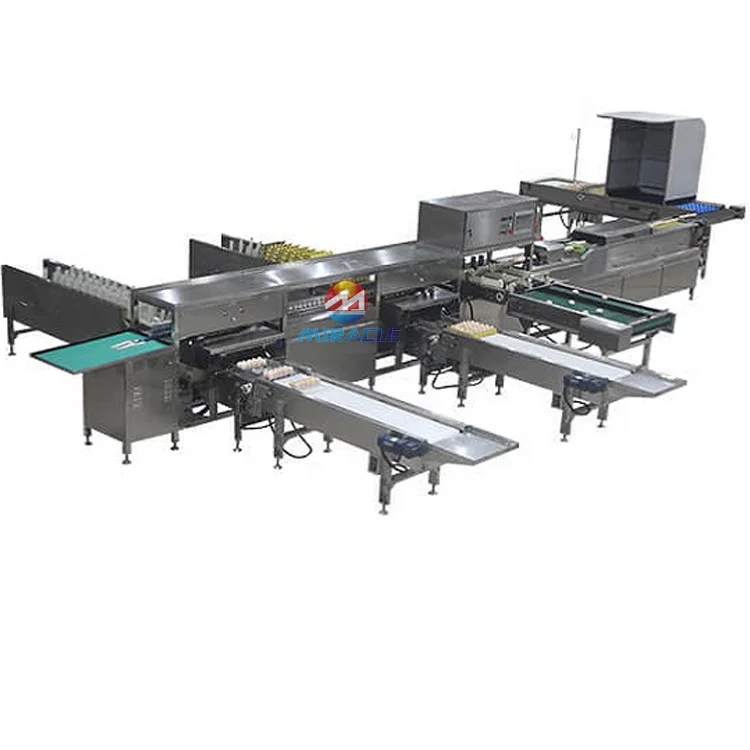 Stable Performance Egg Washing And Grading Machine