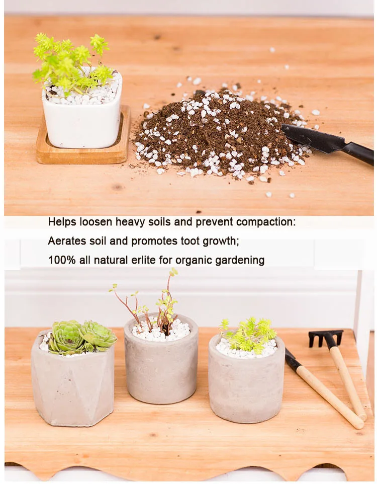 perlite expanded (1)