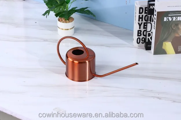 Outdoor Metal Stainless Steel Gardening Water Can Indoor Plants Flowers with Long Spout Watering can