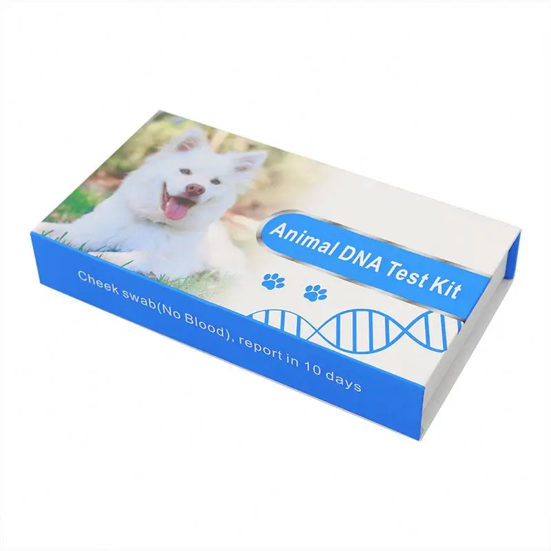 
Factory OEM sterile swab dog sample collection canine dna test kit 
