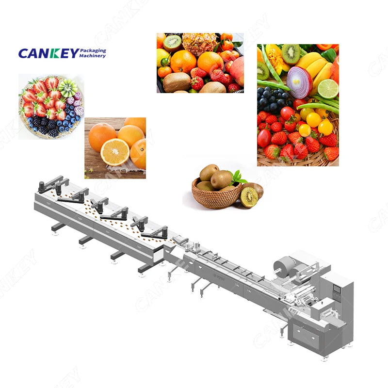 Fresh Vegetable Clean and Packaging Production Line Rotary Pillow Packing Machine Price