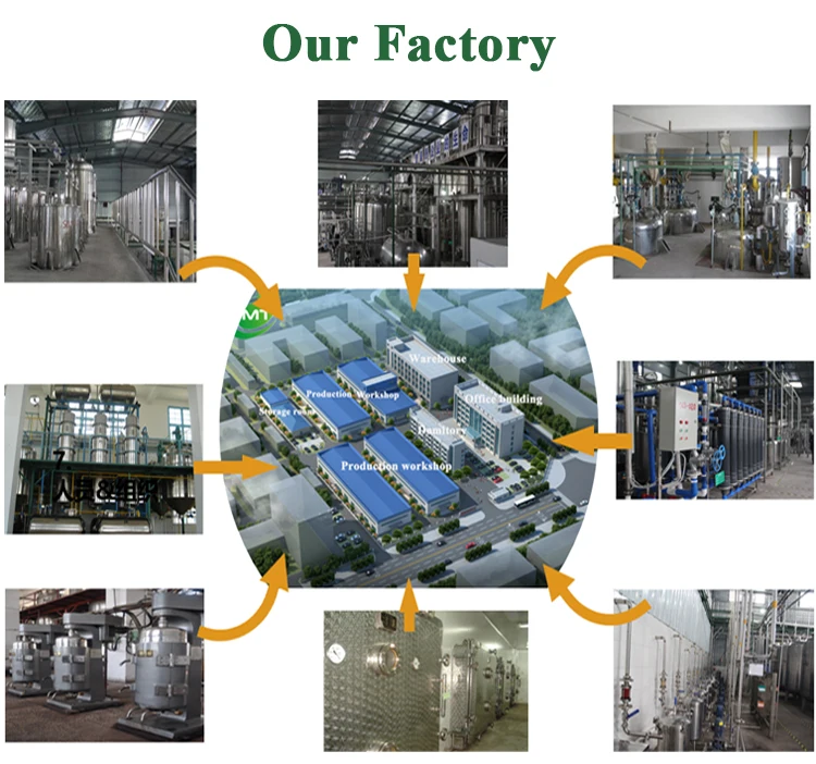 Good Water soluble Honey Powder Freeze-dried honey powder Natural honey powder