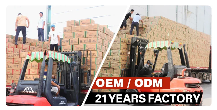 hot sale toothpaste shape fruit flavor liquid bubble gum