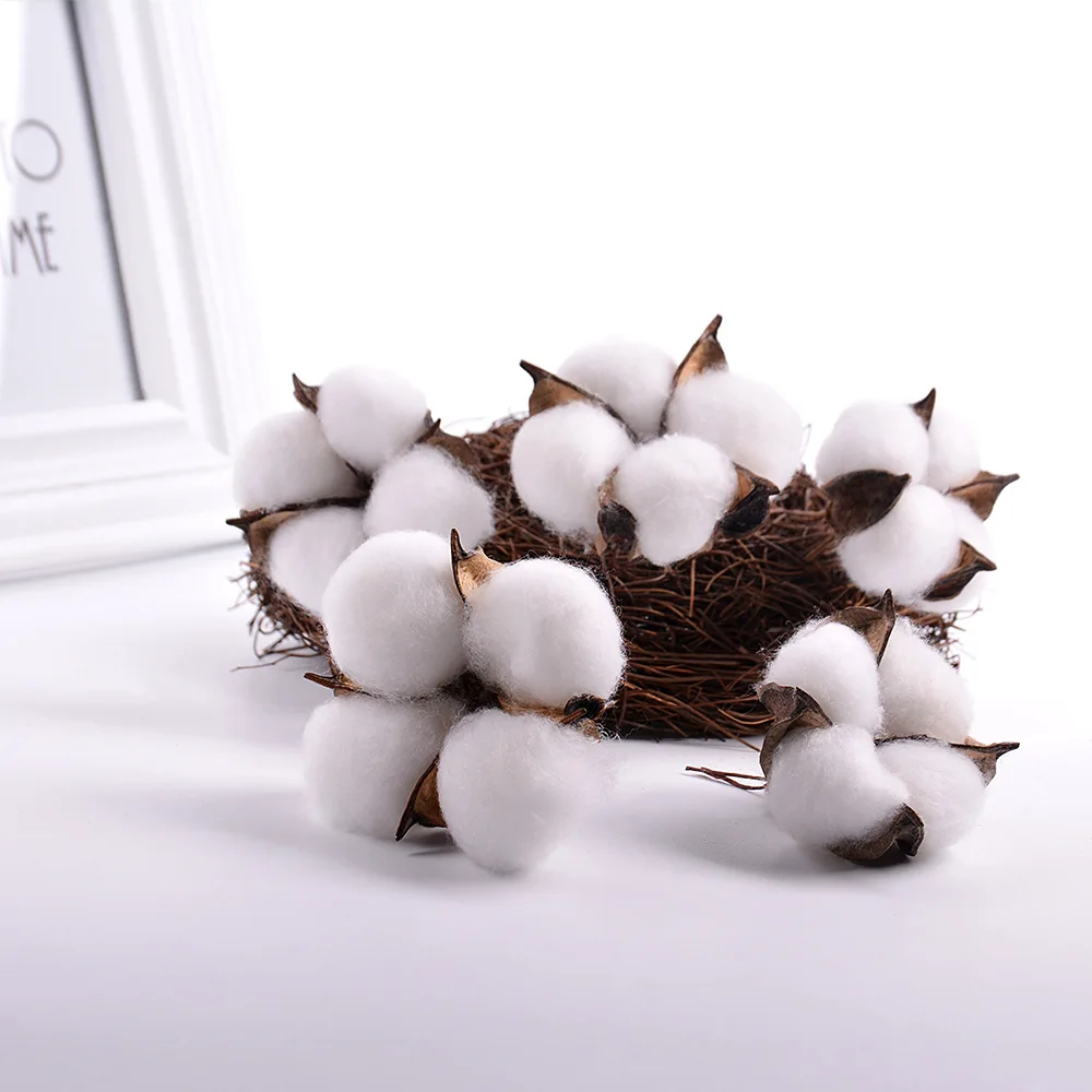 Home decoration single Cotton flower head  natural dry flowers diy handmade processing custom simulation cotton flowers