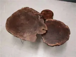 Very natural  walnut coffee table Each piece is unique