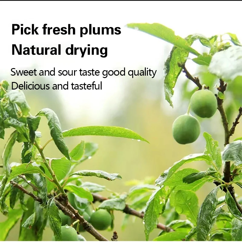 Healthcare supplement Enzyme plum support resist stress and immunity Promote collagen synthesis  enzyme plum