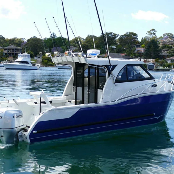 8.8m 29ft aluminium boat catamaran yacht luxury boat yacht