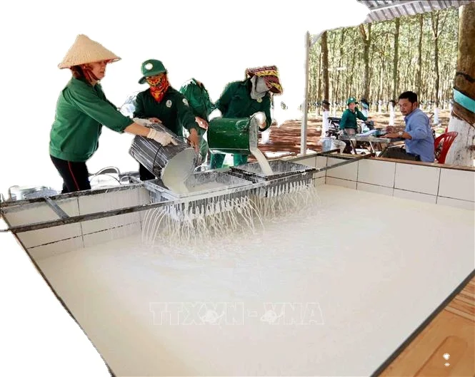 MANUFACTURER LATEX CENTRIFUGED 60 DRC FROM VIET NAM FACTORY high quality best price for vglove production