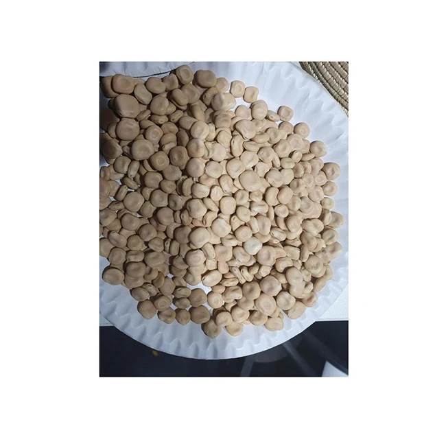 Delicious Healthy Low Price High Quality  And Hot Selling Ethiopia Lupin Beans For Wholesale