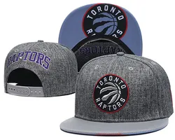 N BA TORONTO RAPTOR Wholesale 6 panel baseball hats high quality 3D embroidered hip hop Snapback hats