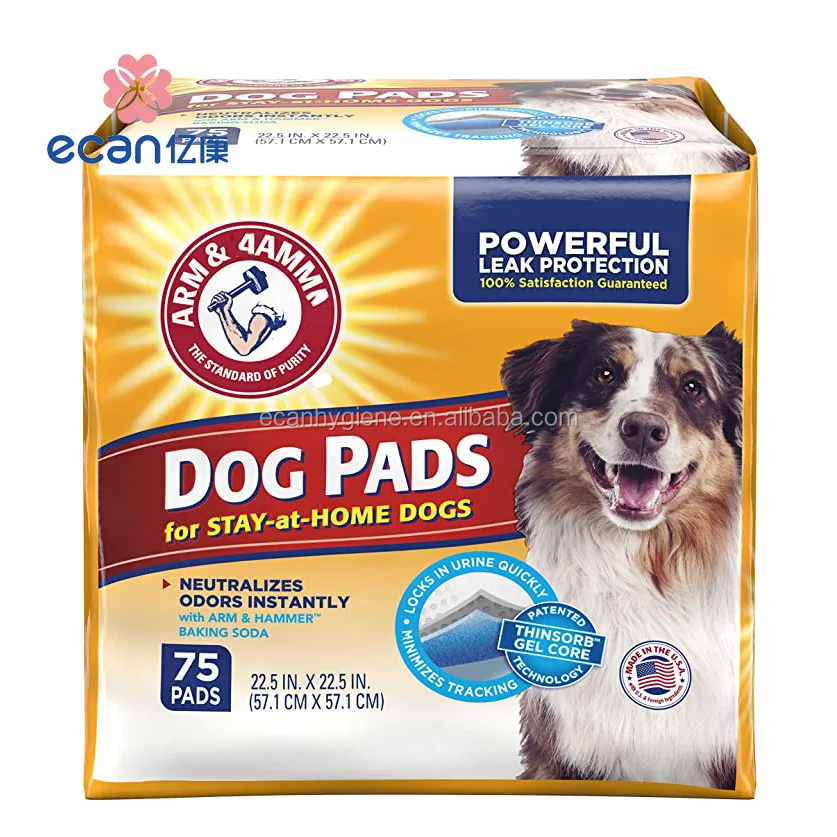 Free Sample 6 Layer Leak Proof Dog Puppy Pee Pads X Large Pet Training Disposable Urine Pad with Custom Package Manufacturer
