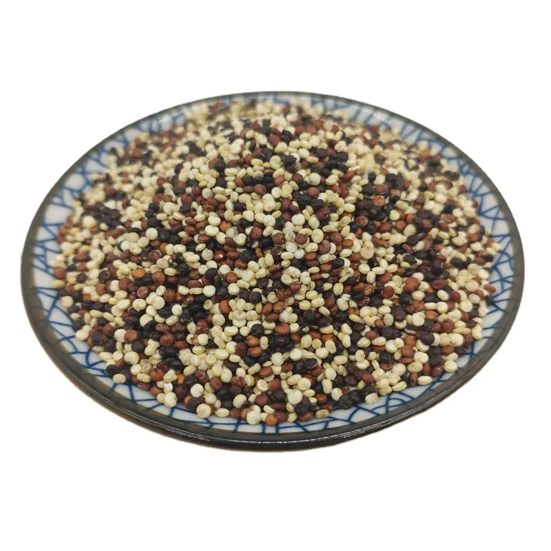 Factory Wholesale tri-color quinoa Seeds Organic Red / Black / White quinoa for sale
