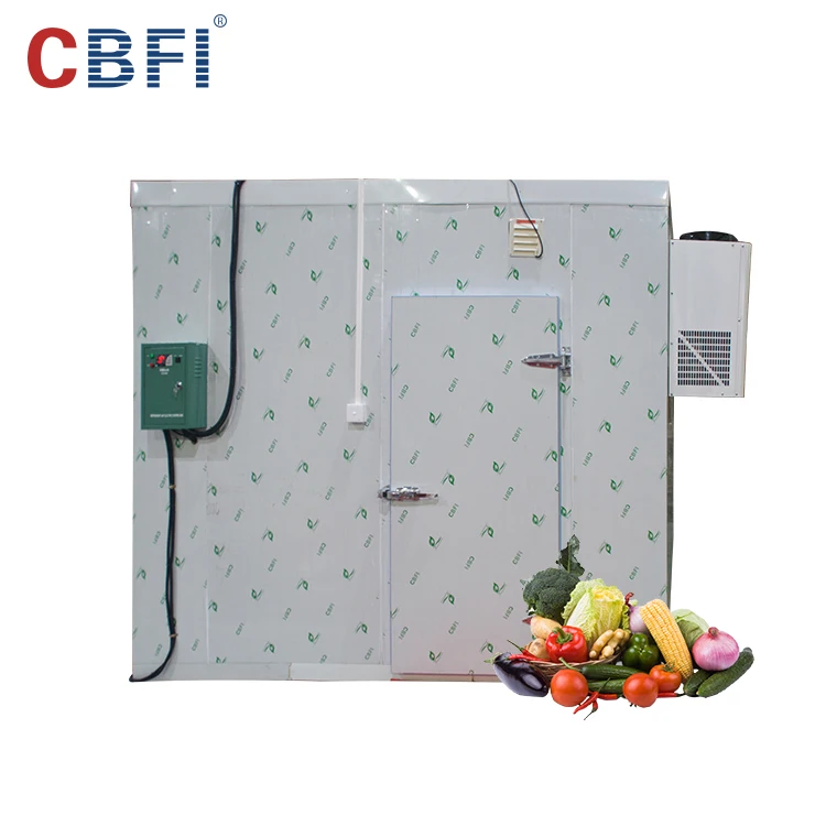 Hot selling Cold Storage Cold Room Cooling System ,  Frezeer Room For Meat And Fish