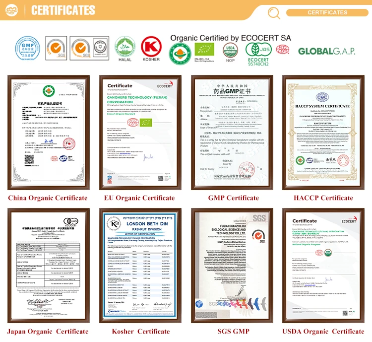 Organic Cordyceps Militaris Powder Capsule For Energy Booster