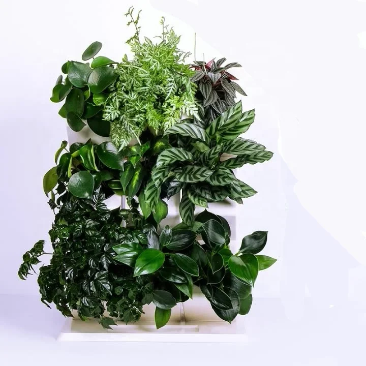 desktop assembling plastic self-watering pot set