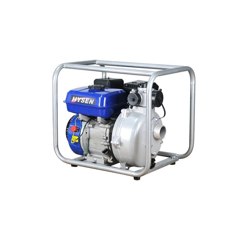 Hot Selling Cheap Custom Cast Iron Gasoline Pump 170F7HP Engine 208ccGasoline Fire Pump