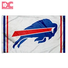 Buffalo Bills 15.jpg