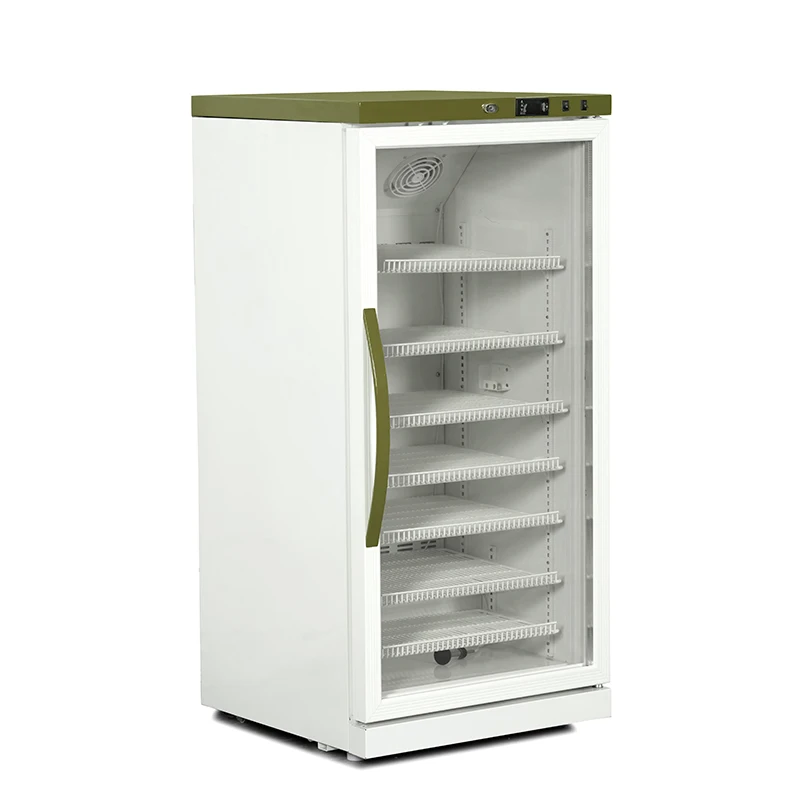 Pharmacy Refrigerator with Ce Certificate