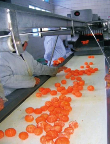 Fresh Fruit Juice Production Line