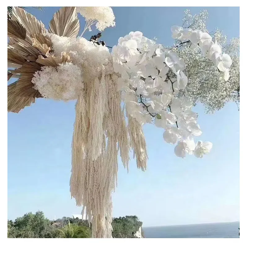 Wedding Decoration Preserved Dried Flowers Bleached Amaranthus Preserved Preserved Dry Real Long Amaranthus Wedding Hanging 3262