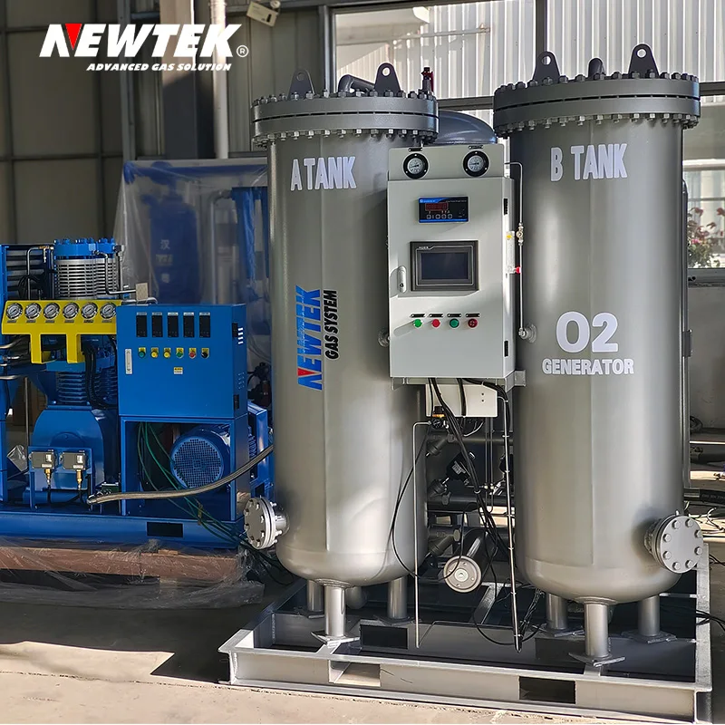 NEWTEK Oxygen Gas Plant Oxygen Generator Medical Oxygene Production Plant Provide On-site Installation Free Services