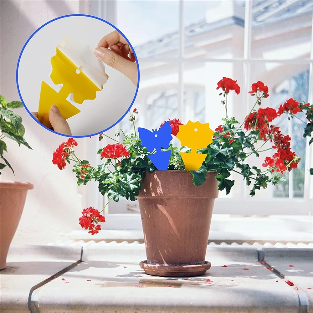 High quality durable using various blue board fly glue trap