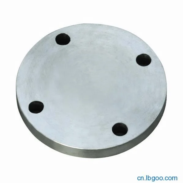 Carbon Steel Pipe Fittings Weld Neck Blind Flange 5 hole flange