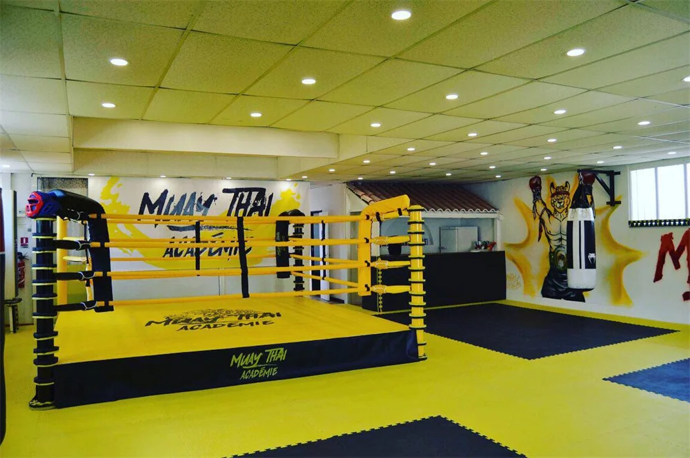 Good Quality Posts Competition Standard Boxing Ring With Strong Canvas