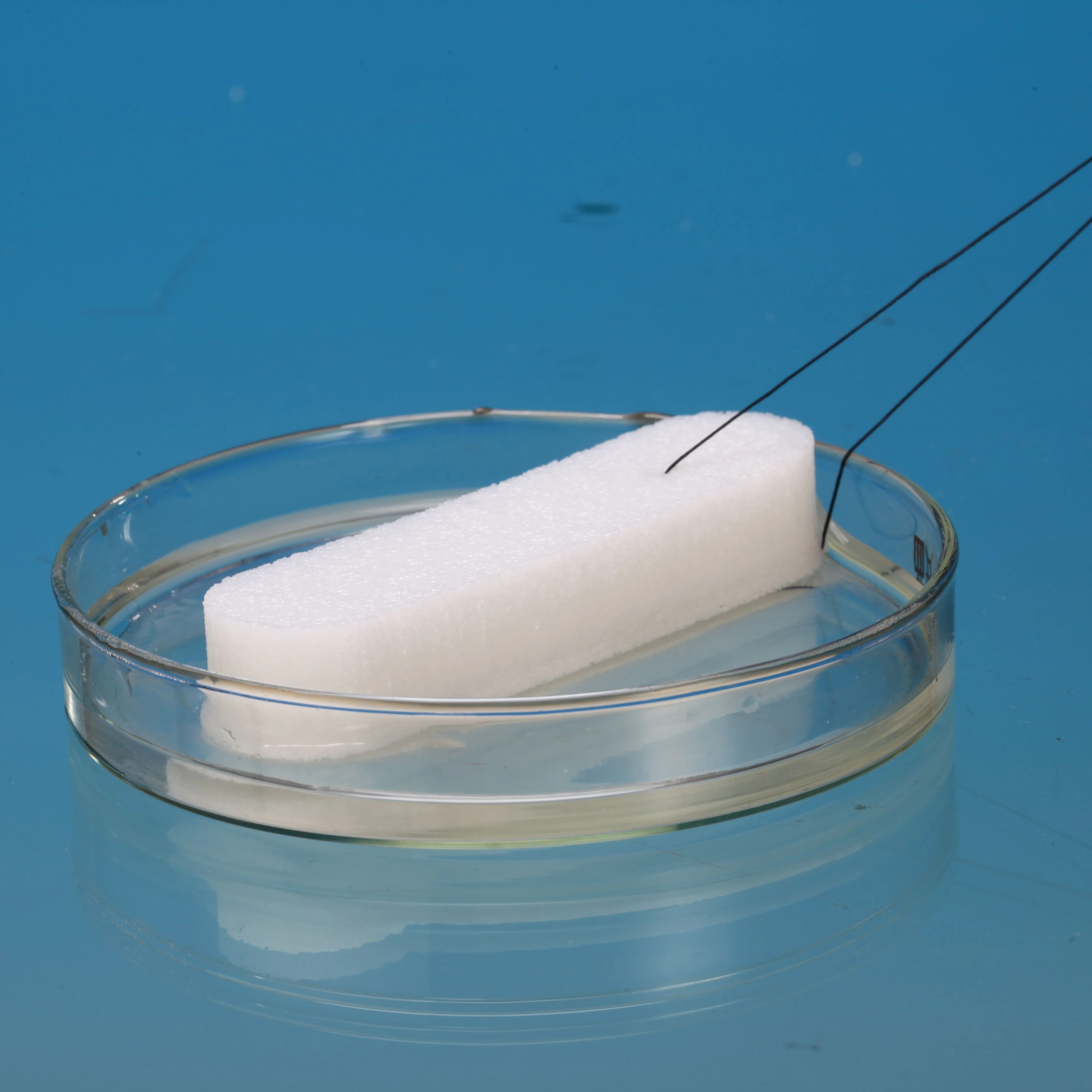 Medical PVA Nasal Dressing Sterile Hemostatic Sponge With Gauze