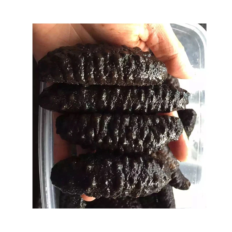 Греческий сушеный дикий морской огурец, высококачественный морской огурец для продажи, греческий полийский тубулоза