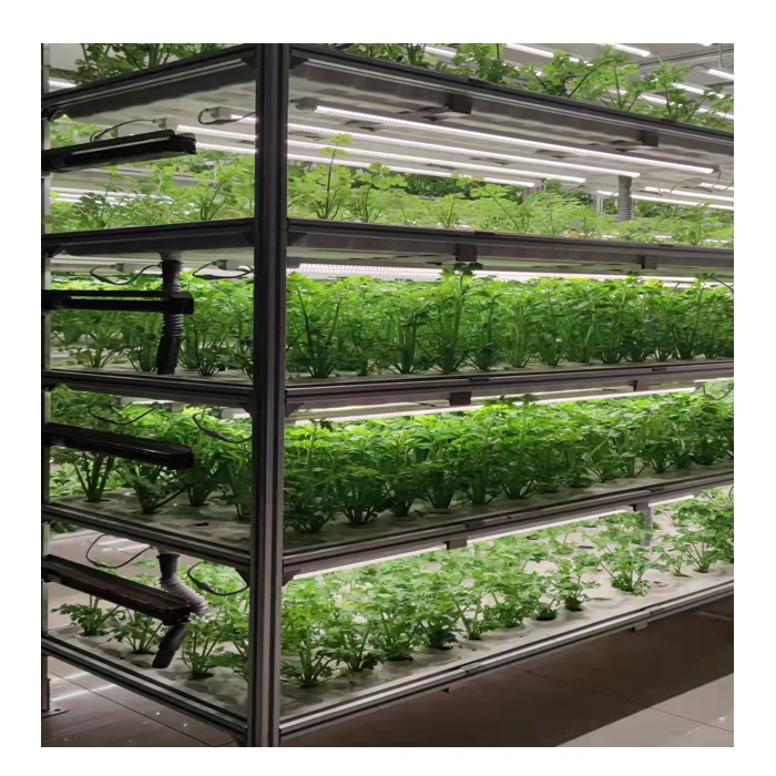Гидропонные вертикальные системы выращивания фермы