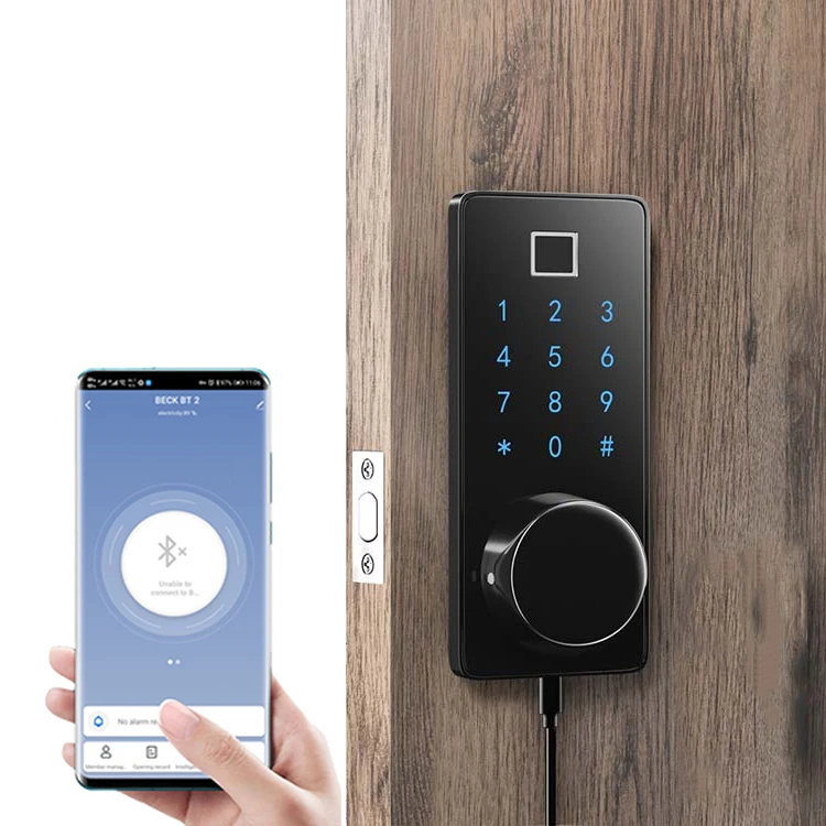 M7BZ voice control wireless blueteeth card smart home door lock